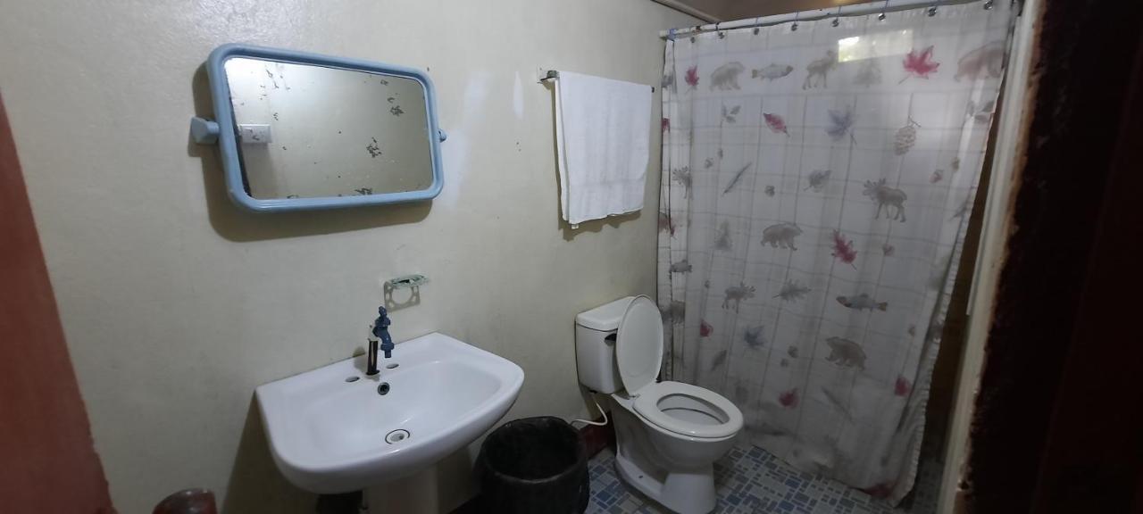 Tropical Dreams Hostel South End Dış mekan fotoğraf