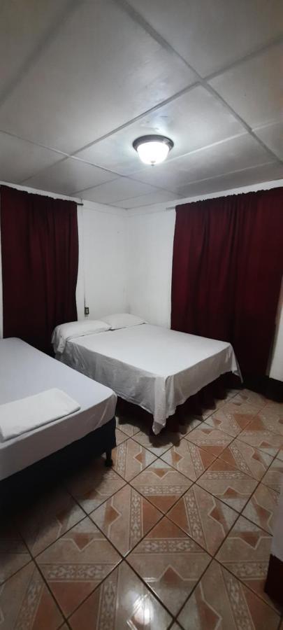 Tropical Dreams Hostel South End Dış mekan fotoğraf