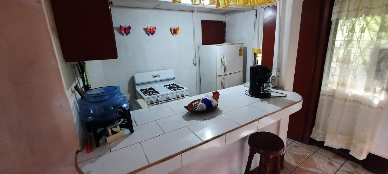 Tropical Dreams Hostel South End Dış mekan fotoğraf