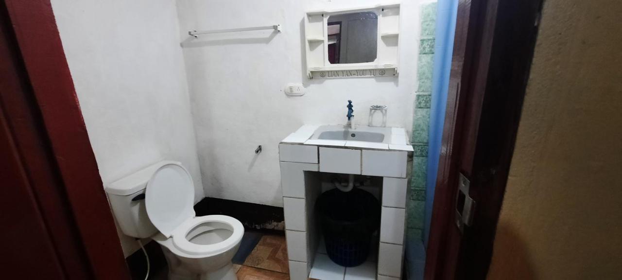 Tropical Dreams Hostel South End Dış mekan fotoğraf