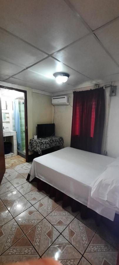 Tropical Dreams Hostel South End Dış mekan fotoğraf