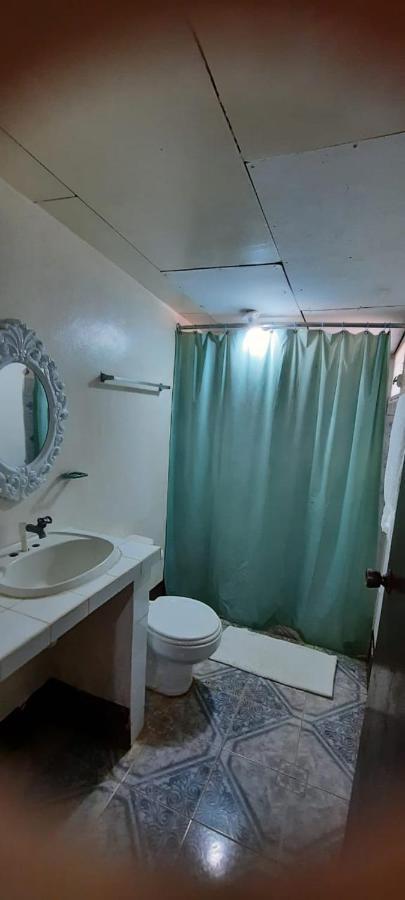 Tropical Dreams Hostel South End Dış mekan fotoğraf